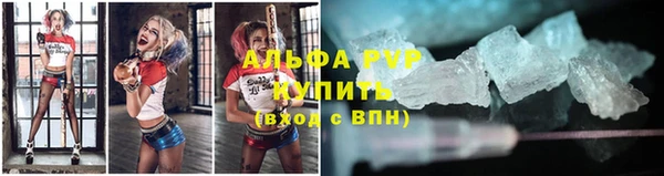 дмт Богородск