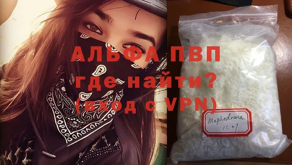 СК Сафоново