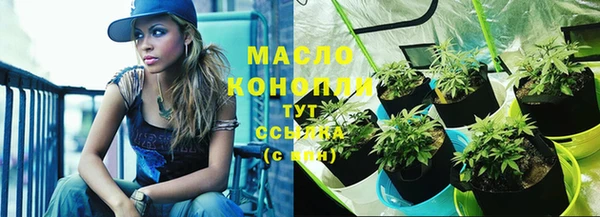 СК Сафоново