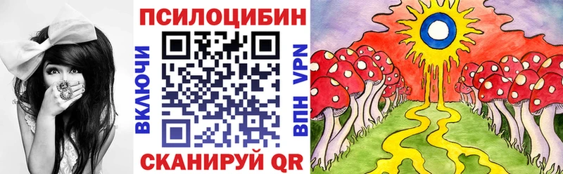где купить наркотик  Малоярославец  Псилоцибиновые грибы Cubensis 